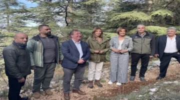 مبادرة درب الملك تشارلز الثالث تزرع آلاف الأشجار في غابات الشوف اللبنانية لتعزيز البيئة